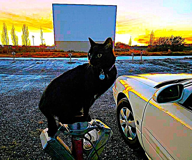 Tru-Vu Drive-In 1001 Highway 92, Delta, CO 