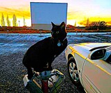 Tru-Vu Drive-In 1001 Highway 92, Delta, CO 