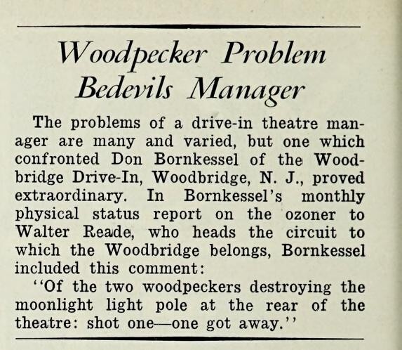 Woody Woodpecker Escapes, Pal Killed (1952)