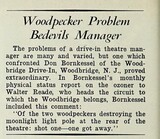 Woody Woodpecker Escapes, Pal Killed (1952)