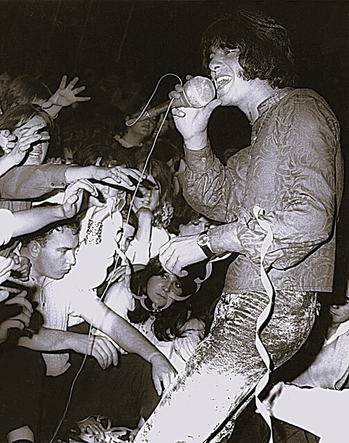 Hoyts Royal Windsor 30 Chapel Street, Melbourne, VIC 