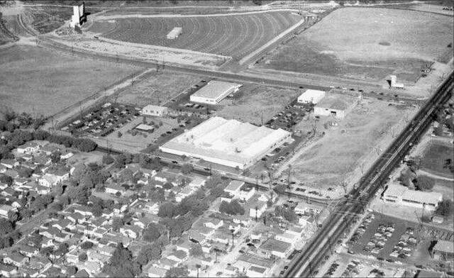 Image credit Mark Johnson.