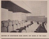 ["Theater Architect: Charles Altfillisch (1950)"]