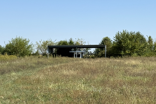 Diane Drive-In, Carlinville, IL