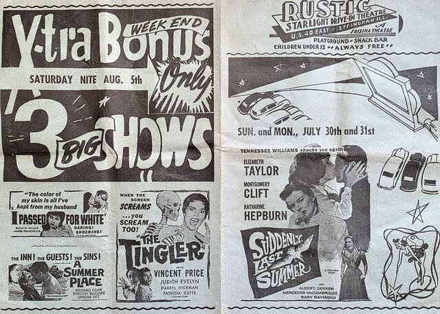 Rustic Starlite Drive-In