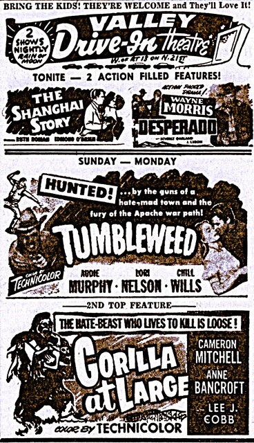 Valley Drive-In 1330 N. 21st Street, Newark, OH