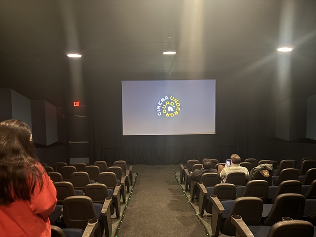 Cinema Underground Theater Facing Screen