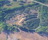 ["Bel-Air Drive-In"]