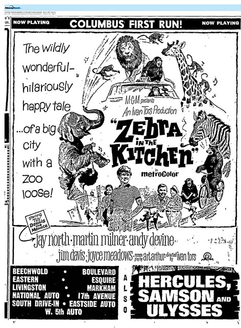 East Main Corridor (1965)/ Jay North, R.I.P. (1951 - 2025)