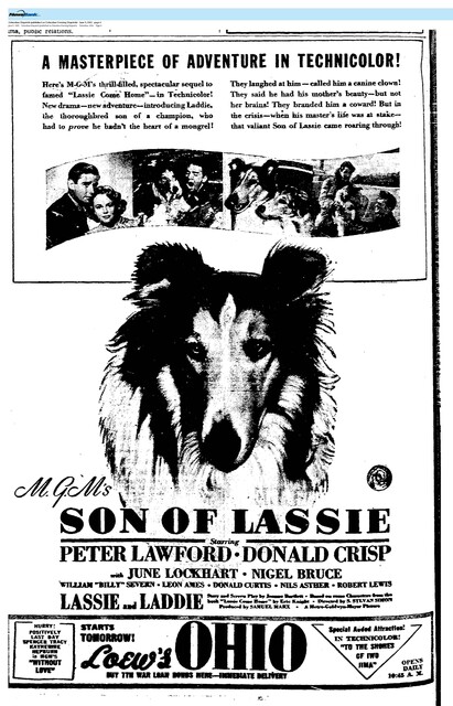 The Great Movie Franchises: Lassie (1945)