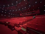 <p>Photo of Academy Museum of Motion Pictures‘ theater, facing the seats, circa 1/18/2026</p>
              