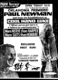 Cool Hand Luke at the Park Terrace
