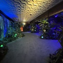 El Capitan Theatre Basement (Themed to Avatar Fire and Ash)