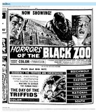 ["East Main Corridor (1964)/Also Nearby at the Lincoln Theatre"]