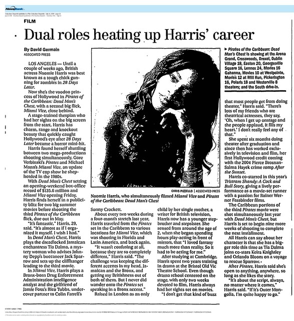 Blacks in Cinema (2006)