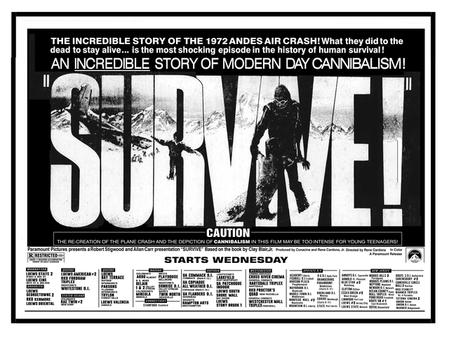 South Shore Mall Twin