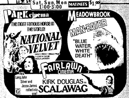 Meadowbrook CinemaCity