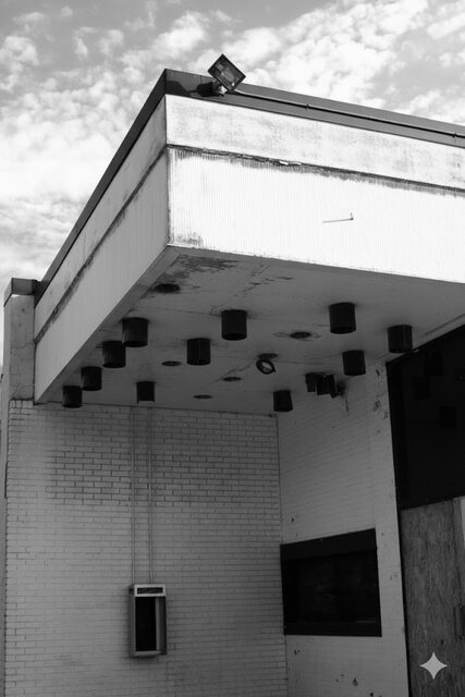 Photo credit Jamie Patrick Lewis.