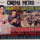Metro Cinema