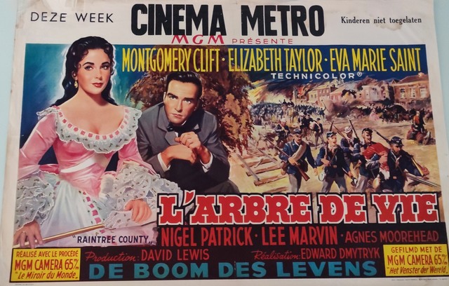 Metro Cinema