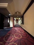 <p>Photo of AMC Burbank Town Center 8 hallway leading to theater, circa 1/21/2026</p>
              