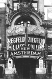 New Amsterdam Theatre