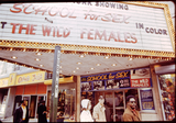 New Victory Theater