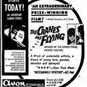 Avon Cinema