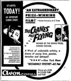 Avon Cinema