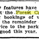 Forest Casino