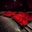 Screen 5