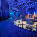 Gallery level foyer