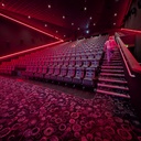 Screen 16
