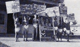 Pines Theatre
