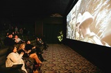 Lumiere Cinemas