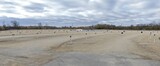 Cascade Drive-In