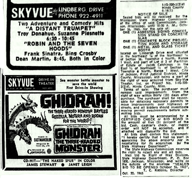 Skyvue Drive-In