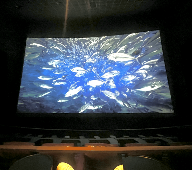 Brenden Theatres Las Vegas 14 & IMAX at the Palms Casino Resort