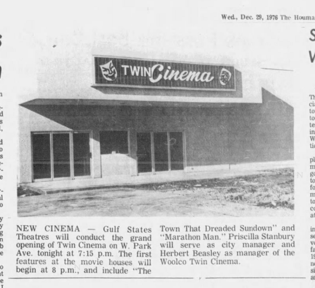 Twin Cinema
