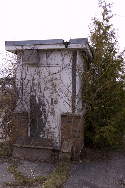 Collingwood Drive-In