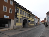 Rex Kinos