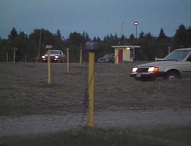Sussex Drive-In