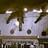 Kingsford Odeon 448 Anzac Parade, Sydney, NSW - 1965