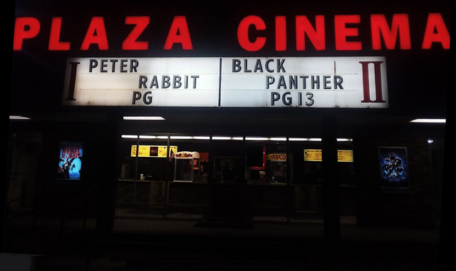 Plaza Twin Cinema