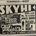 Chicago Sun Times Newspaper ad from Nov. 28, 1963, showing what was playing at the Sky-Hi Drive-In.