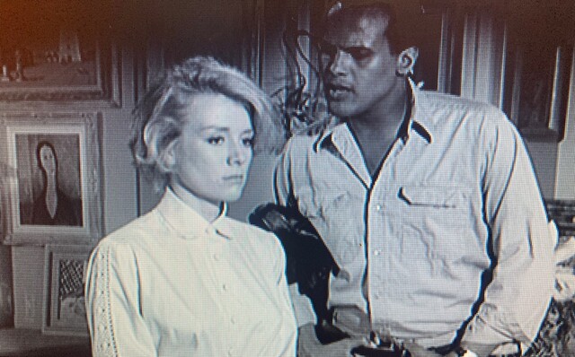 Screenshot from "Sing Your Song" A Documentary About Harry Belafonte (2011)