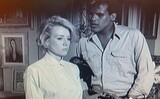 Screenshot from "Sing Your Song" A Documentary About Harry Belafonte (2011)