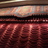 Great Moving Curtains Stanford Theatre 
