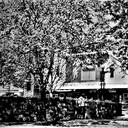 Rialto Theatre 936 Whitehorse Road, Melbourne, VIC