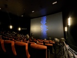 Regal Opry Mills 20 IMAX Theater Facing Screen